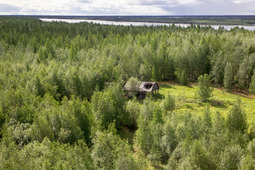 Брошенная стройка "сталинской железной дороги" расположена в 170 километрах от Пуртазовской промплощадки Ново-Уренгойского ЛПУМГ