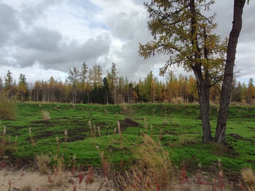 О ремонтных работах на этом участке "говорит" свежая трава (Фото — Ново-Уренгойское ЛПУМГ)