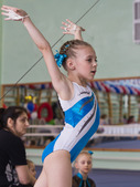 Спортивная гимнастика в Управлении спортивных сооружений "Факел" считается приоритетным видом спорта.