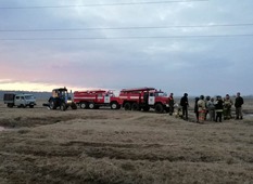 Газовики ведут борьбу с лесными пожарами совместно с лесоохраной и специалистами местной пожарной части (Фото — Алексей Елишев)